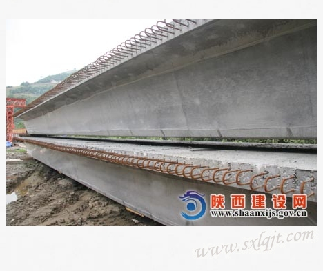 pgÉͽðÅ®Íõ-(¹Ù·½°æ)ÖйúÍøÕ¾