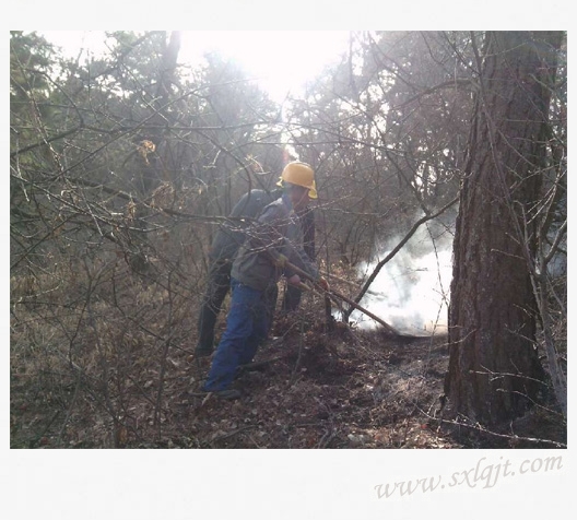 pg�ͽ�Ů��-(�ٷ���)�й���վ