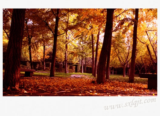 pg�ͽ�Ů��-(�ٷ���)�й���վ