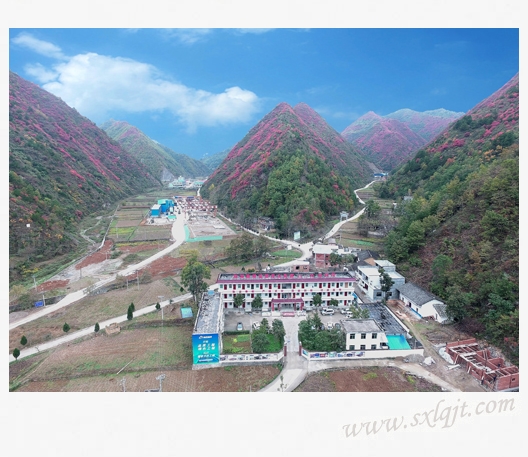 pg�ͽ�Ů��-(�ٷ���)�й���վ