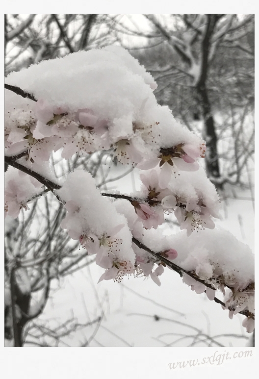 pg�ͽ�Ů��-(�ٷ���)�й���վ