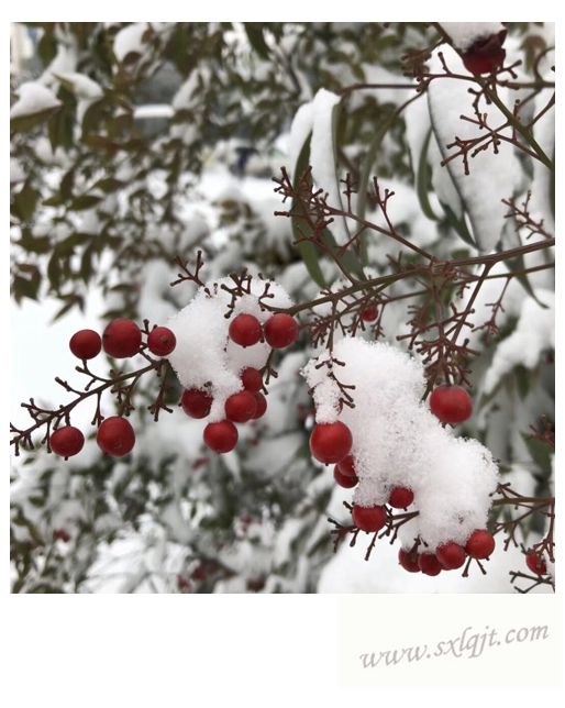 pg�ͽ�Ů��-(�ٷ���)�й���վ