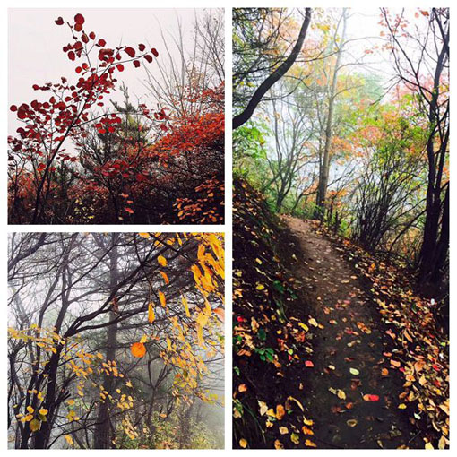 pg�ͽ�Ů��-(�ٷ���)�й���վ