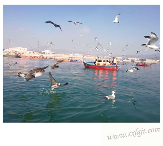 pg�ͽ�Ů��-(�ٷ���)�й���վ