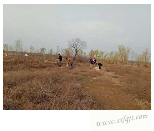 pgÉͽðÅ®Íõ-(¹Ù·½°æ)ÖйúÍøÕ¾