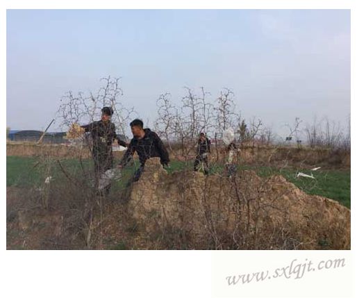 pgÉͽðÅ®Íõ-(¹Ù·½°æ)ÖйúÍøÕ¾