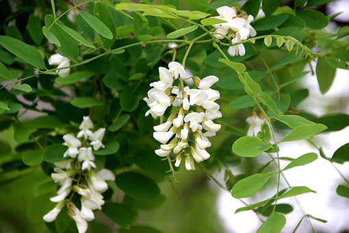 pgÉͽðÅ®Íõ-(¹Ù·½°æ)ÖйúÍøÕ¾