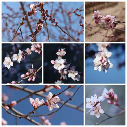 pg�ͽ�Ů��-(�ٷ���)�й���վ