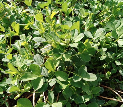 pg�ͽ�Ů��-(�ٷ���)�й���վ