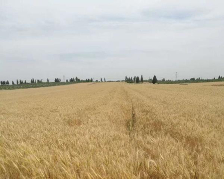 pg�ͽ�Ů��-(�ٷ���)�й���վ