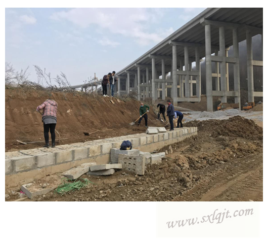 pg�ͽ�Ů��-(�ٷ���)�й���վ