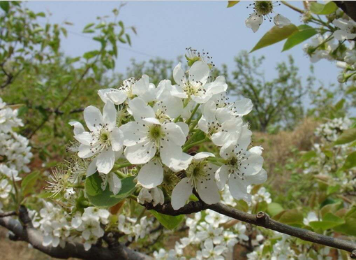 pg�ͽ�Ů��-(�ٷ���)�й���վ