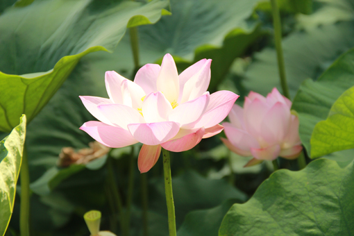 pg�ͽ�Ů��-(�ٷ���)�й���վ