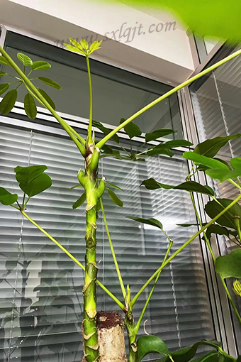 pg�ͽ�Ů��-(�ٷ���)�й���վ