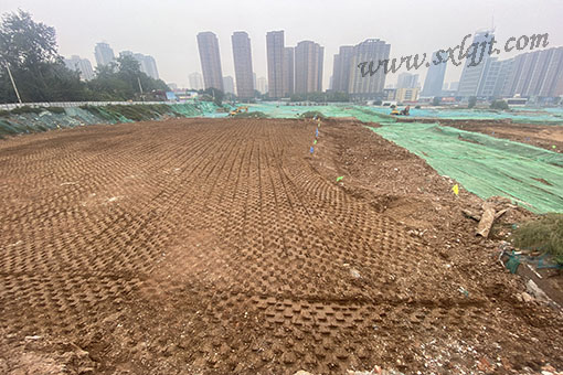 pgÉͽðÅ®Íõ-(¹Ù·½°æ)ÖйúÍøÕ¾