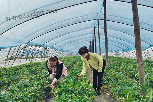 pg�ͽ�Ů��-(�ٷ���)�й���վ