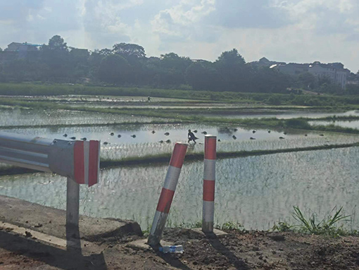 pg�ͽ�Ů��-(�ٷ���)�й���վ