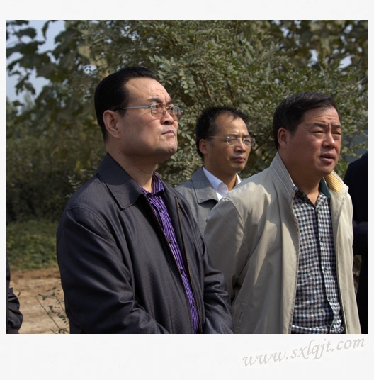 pg�ͽ�Ů��-(�ٷ���)�й���վ