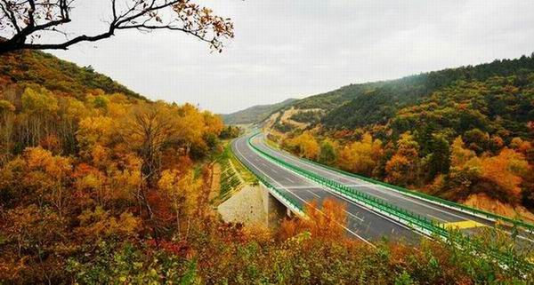 pg�ͽ�Ů��-(�ٷ���)�й���վ