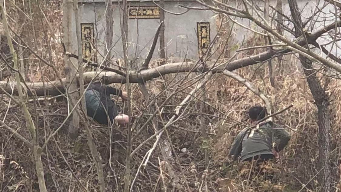 011743489866171029.jpg 04dddd49969df0d629b707bfbd31408.jpg